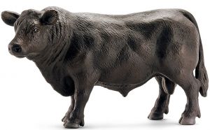 Taureau Angus