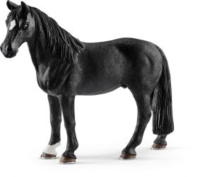 SHL13832 - Hongre Tennessee Walker