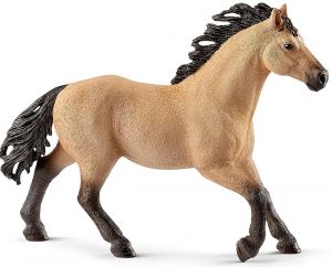 Étalon Quarter Horse
