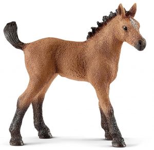 Poulain Quarter horse