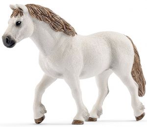 Ponette de Race Gallois