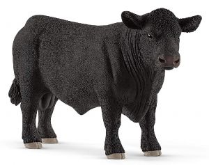 Taureau Angus