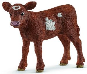 Veau Texas Longhorn