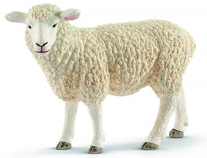 SHL13882 - Mouton