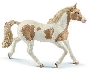 Jument paint Horse