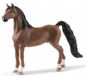 Hongre saddlebred