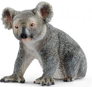 SHL14815 - Koala
