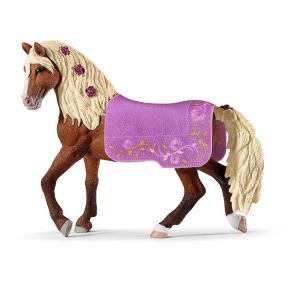 Spectacle équestre + étalon Paso Fino