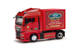 HER318778 - MAN TGX GX 4x2 avec container RONCALLI