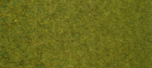 HEK1861 - Tapis d'herbes sauvages terrain boisé 45x17 cm