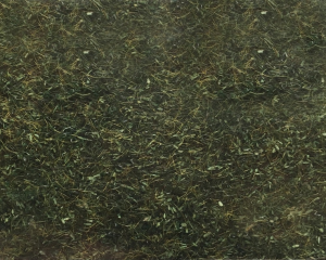 NOC08350 - Herbe de forêt - 2.5 mm -20 g