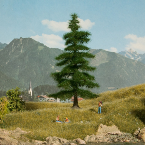 NOC21811 - Sapin Nordmann 14.5 cm