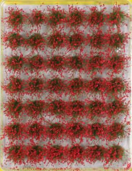 NOC07025 - 42 touffes d'herbes rouges