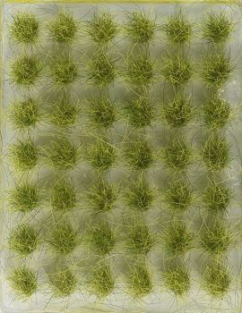 NOC07027 - 42 touffes d'herbes vertes