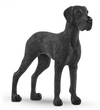 SHL13962 - Dogue Allemand