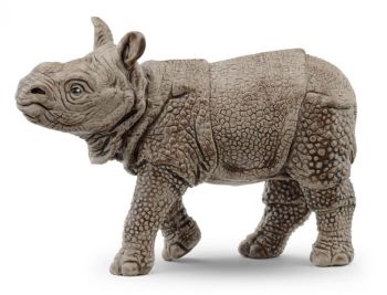 Bébé Rhinocéros Indien