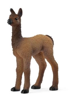 SHL14890 - Bébé Lama