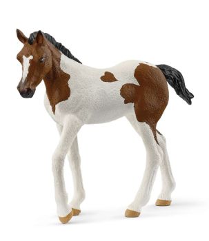 SHL14899 - Poulain Paint Horse