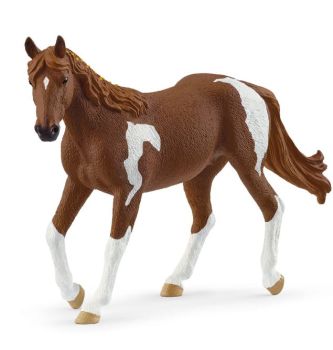 SHL14901 - Jument Paint Horse