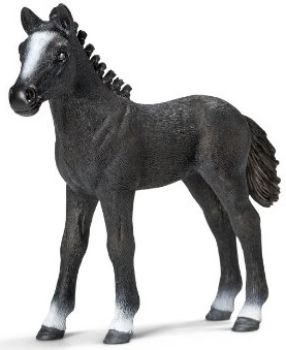 SHL13738 - Poulain Lipizzan