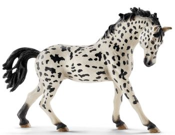 SHL13769 - Jument Knabstrupper