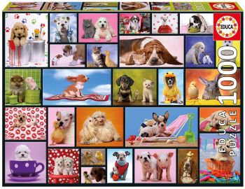 EDU15518 - Puzzle 1000 Pièces Moments partagés