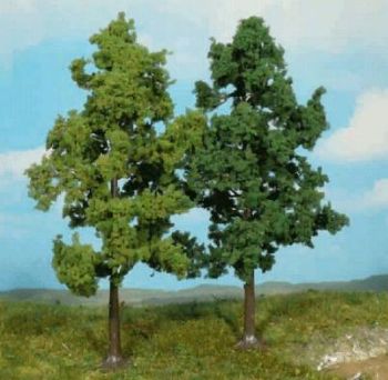 HEK1202 - Lot de 2 Hêtres 18cm