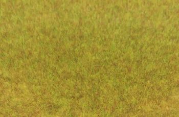 HEK3371 - Sachet 75 g d'herbe sauvage d'automne 5-6 mm