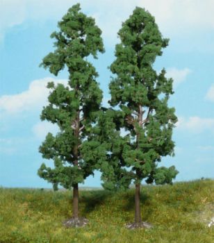 HEK1130 - 2 Hêtres 18 cm