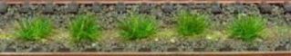 HEK1803 - 100 Touffes d'herbes vert foncé 6 mm