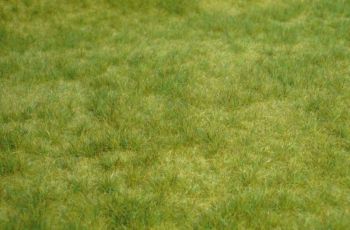 HEK1841 - Herbe sauvage printemps - 45x17 cm