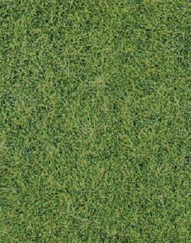 HEK1870 - Tapis d'herbes sauvages vert de prairie 40 x 24 cm