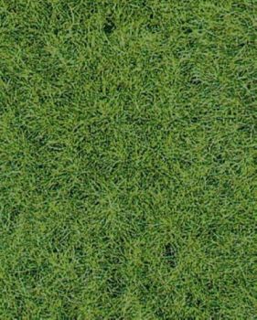 HEK1871 - Tapis d'herbes sauvage terrain boisé 40 x 24 cm