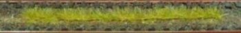 HEK1812 - Lot de 10 bandes d'herbes automne 10 cm
