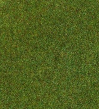 HEK30911 - Tapis vert foncé 100 x 75 cm