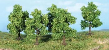 5 arbres fruitiers 7 cm
