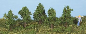 5 arbres feuillus 4 cm