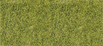 Tapis herbes longues vert de prairie 40x40 cm