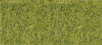 HEK1855 - Tapis herbes longues vert de prairie 40x40 cm