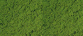 HEK1601 - Mousse de flocage vert moyen 14x28 cm