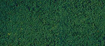 HEK1603 - Mousse de flocage vert pin 14x28 cm