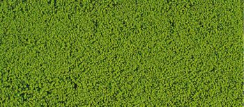 HEK1600 - Mousse de flocage vert clair 14x28 cm