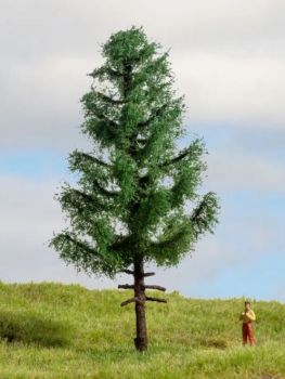 NOC20195 - Epicéa à haute tige 14 cm