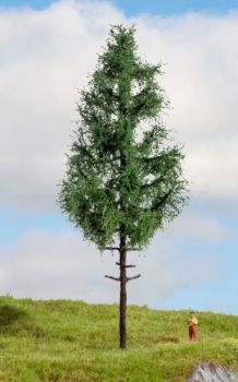 NOC20196 - Epicéa à haute tige 21 cm