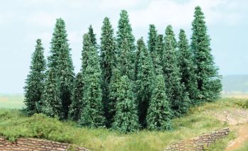 HEK2236 - 20 Sapins argentés 5-9 cm