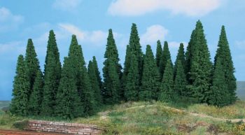 HEK2241 - 35 Sapins 5-12 cm