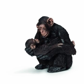SHL14679 - Chimpanzé femelle avec bébé chimpanzé