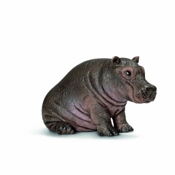 SHL14682 - Jeune hippopotame