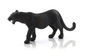 SHL14688 - Panthère noire