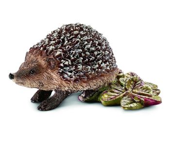 SHL14713 - Hérisson